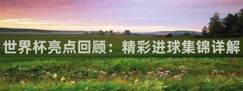 2026世界杯对阵图：世界杯亮点回顾：精彩进球集锦详解