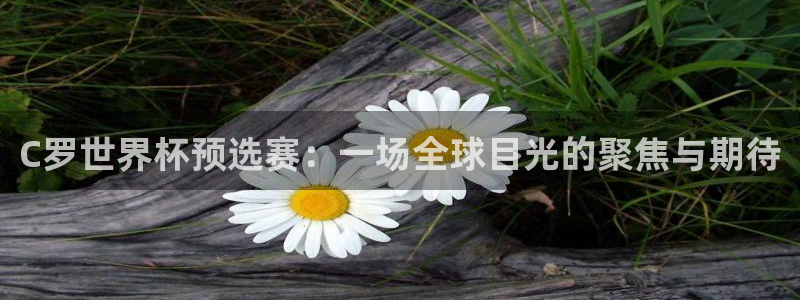 世界杯预选赛欧洲：C罗世界杯预选赛：一场全球目光的聚焦与期待