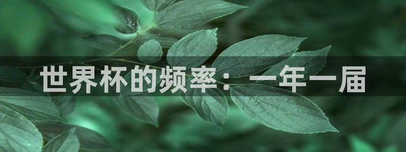 世界杯欧洲区预选赛：世界杯的频率：一年一届