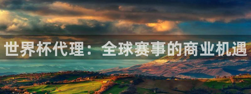 世界杯预选赛欧洲赛区赛程：世界杯代理：全球赛事的商业机遇