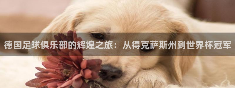 世界杯 中国：德国足球俱乐部的辉煌之旅：从得克萨斯州到世界杯冠军