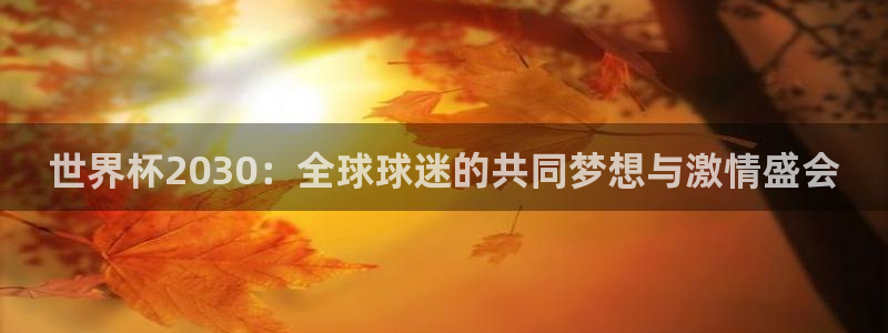 世界杯2026预选赛：世界杯2030：全球球迷的共同梦想与激情盛会