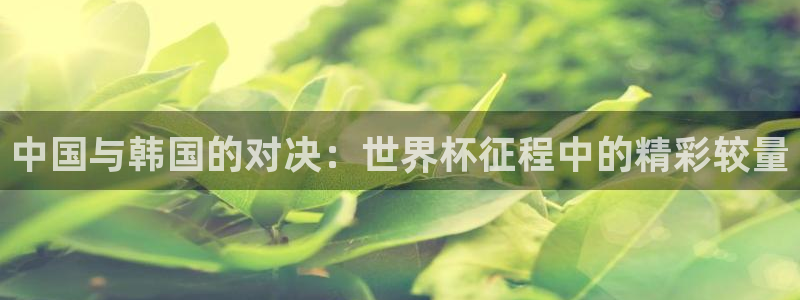 亚洲杯足球：中国与韩国的对决：世界杯征程中的精彩较量