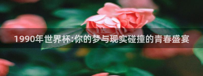 2026世界杯赛程时间表最新：1990年世界杯:你的梦与现实碰撞的青春盛宴