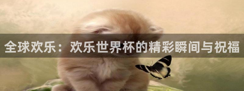 世界杯第一场比赛：全球欢乐：欢乐世界杯的精彩瞬间与祝福
