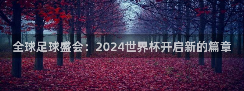 世界杯直播平台：全球足球盛会：2024世界杯开启新的篇章