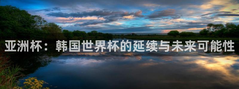 世界杯直播网站：亚洲杯：韩国世界杯的延续与未来可能性