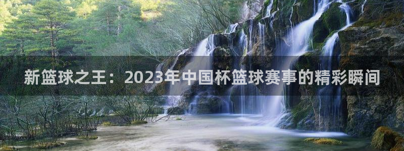 足球世界杯时间：新篮球之王：2023年中国杯篮球赛事的精彩瞬间